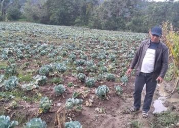 Tambah Armada Transportasi Darat, CV Karya Mutiara Melirik Napu Sebagai Sentra Pertanian Masa Depan