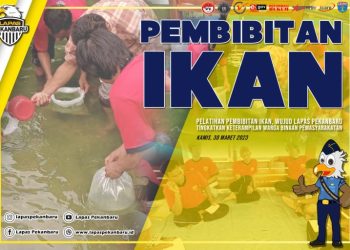 Pelatihan Pembibitan Ikan Gurami, Wujud Lapas Pekanbaru Tingkatkan Keterampilan Warga Binaan