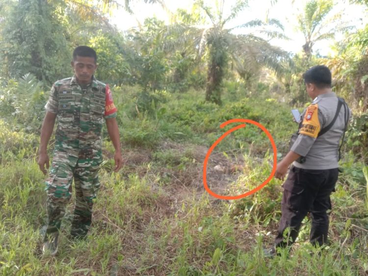 Warga Kecamatan Sarudu Digegerkan Dengan Adanya Penemuan Mayat yang Sudah Bau dan Berbentuk Tengkorak