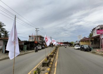 Kopdarda PSI Pasangkayu, Bappilu Target Kursi Perdapil, Dengan Komposisi Caleg Dinamis