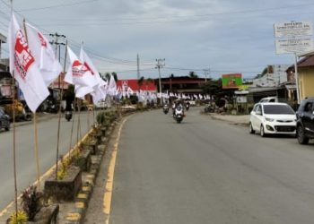 Ribuan Bendera dan Atribut bertuliskan “Tegak Lurus Bersama Pak Jokowi” Hiasi Kopdarda PSI Pasangkayu