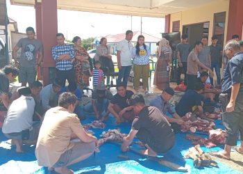 Hari Raya Idul Adha 1444 H / 2023 M Polres Pasangkayu Sembelih hewan Qurban