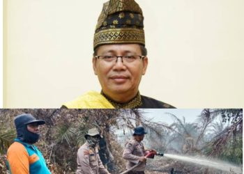 Koordinasi Satgas Tangani Karhutla Mendapat Apresiasi DPA LAM Riau Tan Seri Syahril Abubakar