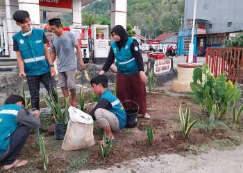 Mengurangi Polusi Udara, Poltekes Mamuju Manfaatkan Tanaman Sanseviera