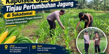 Kapolsek Ujung Batu Tinjau Pertumbuhan Jagung di Sukadamai, Dukung Ketahanan Pangan Nasional